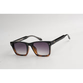 Tortoise Shell